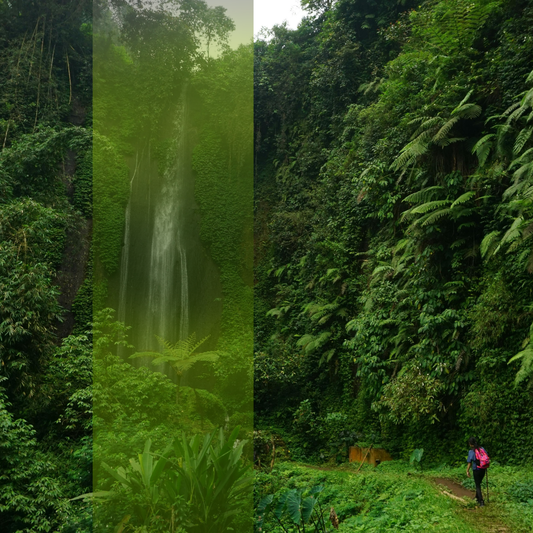 AI Sales Conversations